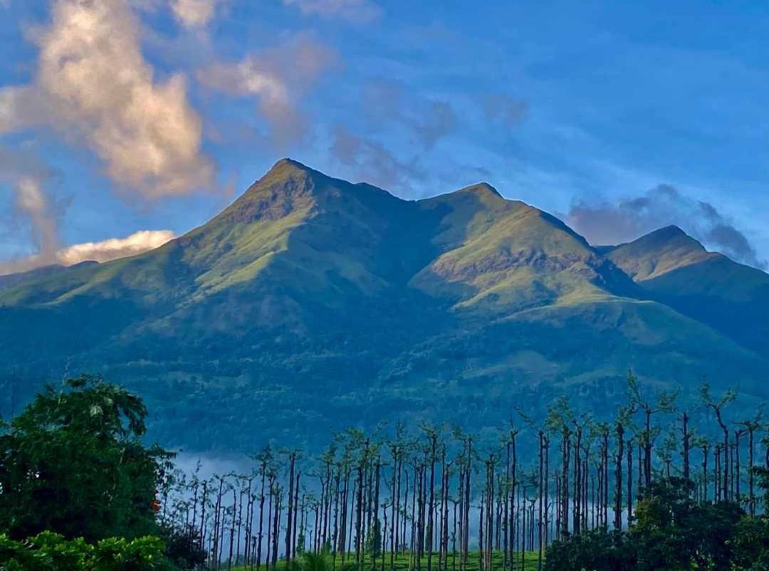 Jungle Valley Ayurvedic Spa Resort Meppādi Kültér fotó