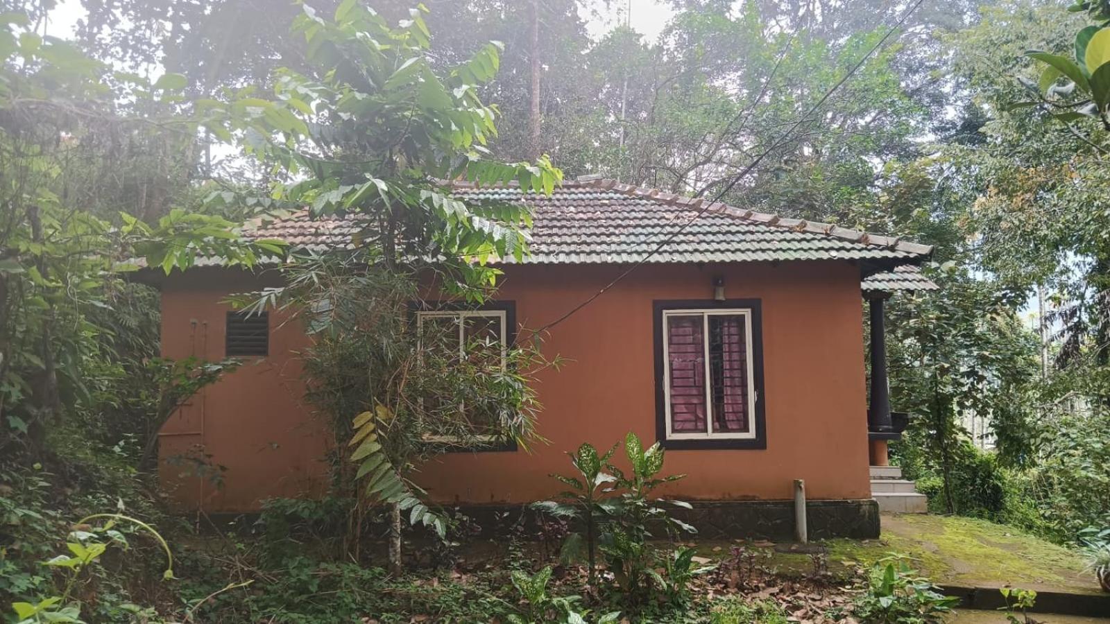 Jungle Valley Ayurvedic Spa Resort Meppādi Kültér fotó