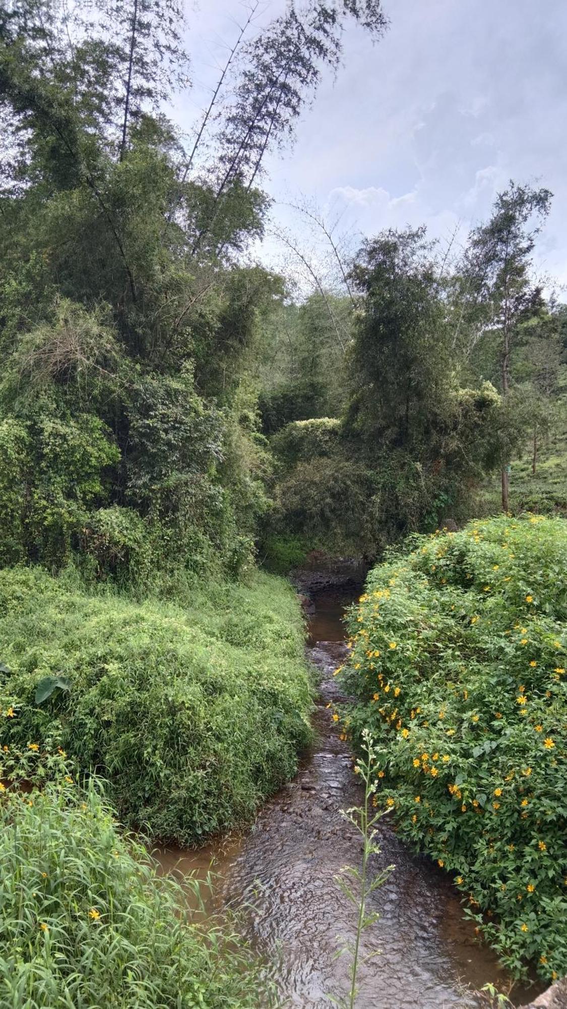Jungle Valley Ayurvedic Spa Resort Meppādi Kültér fotó