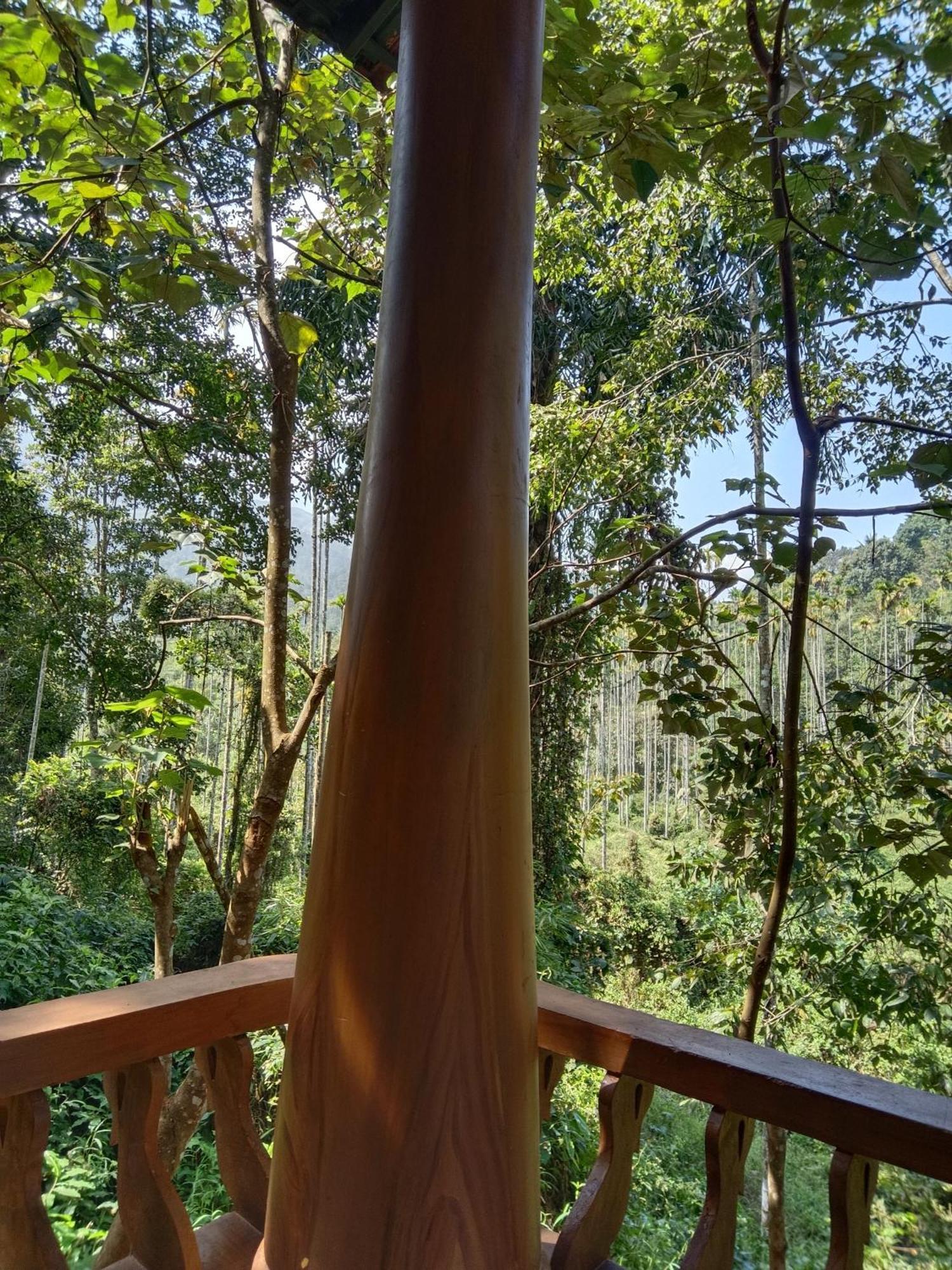 Jungle Valley Ayurvedic Spa Resort Meppādi Kültér fotó