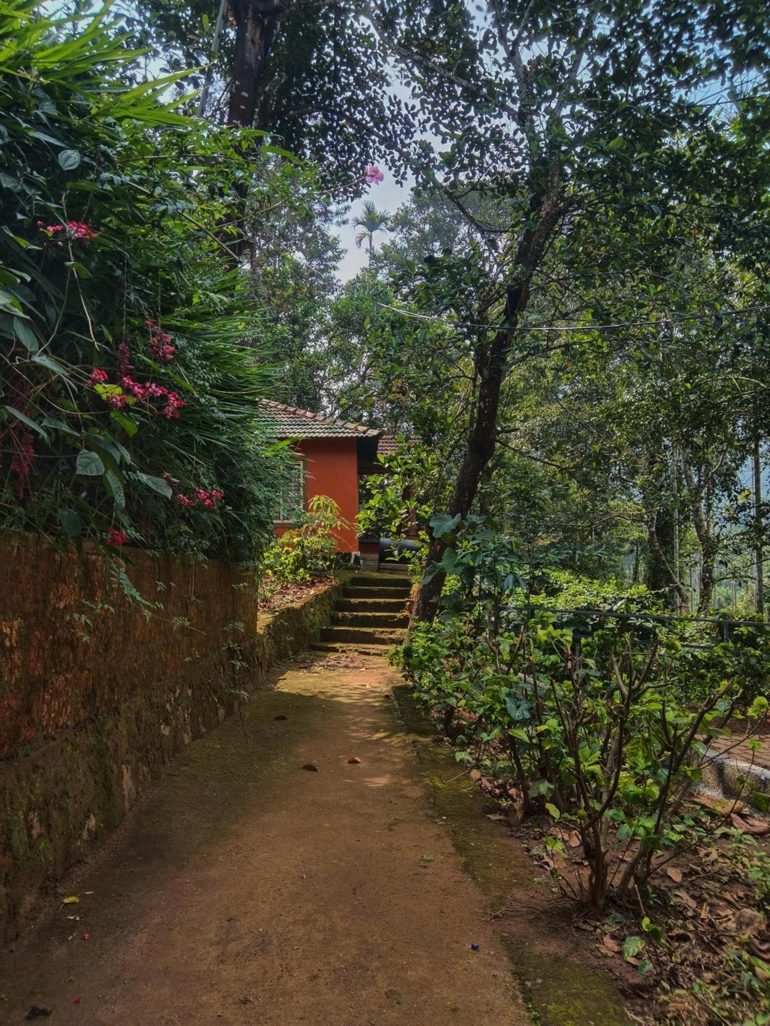 Jungle Valley Ayurvedic Spa Resort Meppādi Kültér fotó